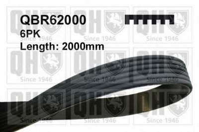QUINTON HAZELL qbr62000 -  Поликлиновой ремень